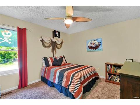 60 White Doe, Eureka, MO 63025 photo 11