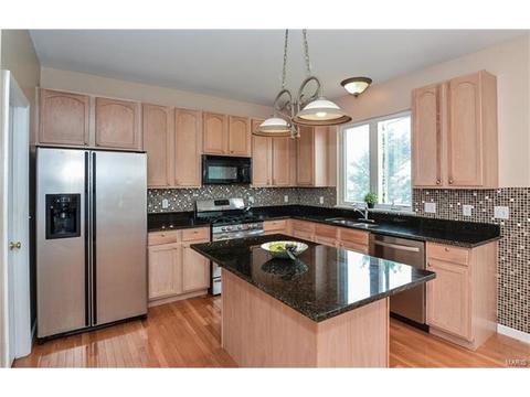 1159 Spring Orchard Dr, O'fallon, MO 63368 photo 21