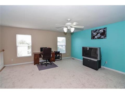 1159 Spring Orchard Dr, O'fallon, MO 63368 photo 26