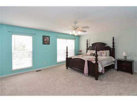 1159 Spring Orchard Dr, O'fallon, MO 63368 photo 44