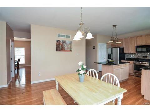 1159 Spring Orchard Dr, O'fallon, MO 63368 photo 19