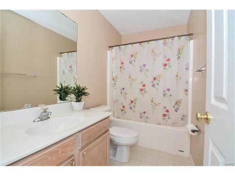 1159 Spring Orchard Dr, O'fallon, MO 63368 photo 43