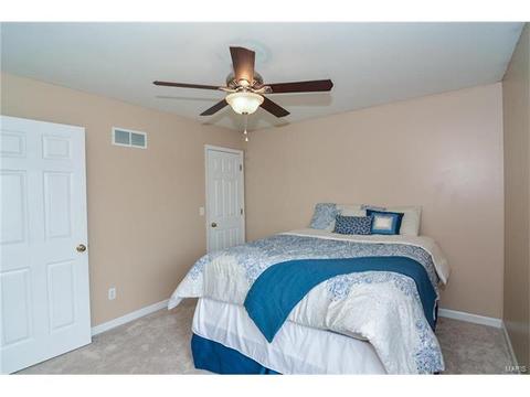 1159 Spring Orchard Dr, O'fallon, MO 63368 photo 41
