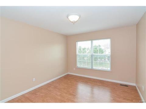 1159 Spring Orchard Dr, O'fallon, MO 63368 photo 30