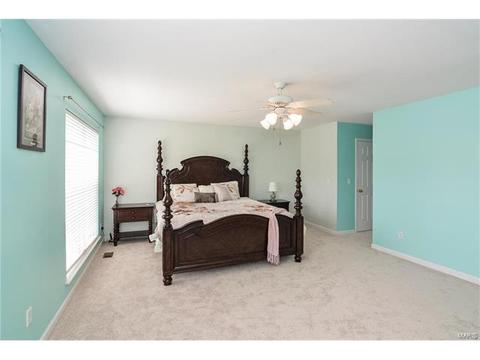 1159 Spring Orchard Dr, O'fallon, MO 63368 photo 46