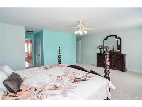 1159 Spring Orchard Dr, O'fallon, MO 63368 photo 47