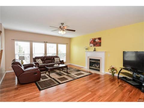 1159 Spring Orchard Dr, O'fallon, MO 63368 photo 13