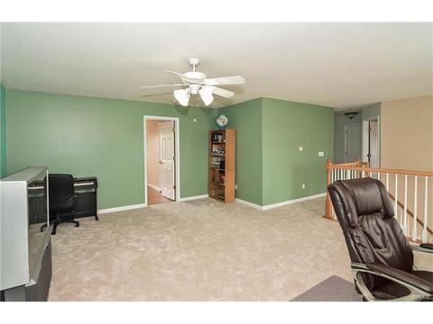 1159 Spring Orchard Dr, O'fallon, MO 63368 photo 28