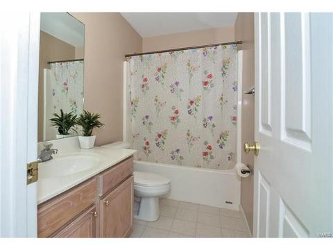 1159 Spring Orchard Dr, O'fallon, MO 63368 photo 42