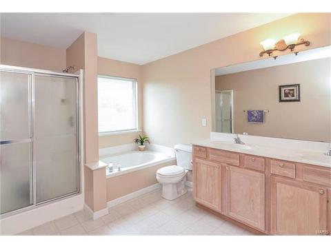 1159 Spring Orchard Dr, O'fallon, MO 63368 photo 50