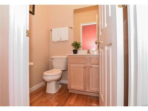 1159 Spring Orchard Dr, O'fallon, MO 63368 photo 23