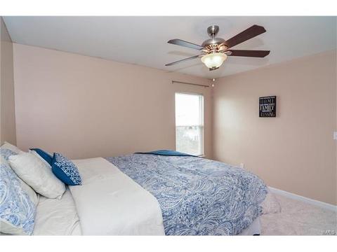 1159 Spring Orchard Dr, O'fallon, MO 63368 photo 39