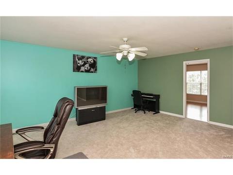 1159 Spring Orchard Dr, O'fallon, MO 63368 photo 29