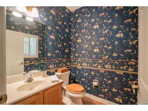 2132 Mint Spring Ln, Glencoe, MO 63038 photo 16