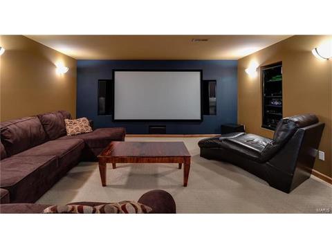 314 Walnut Forest Dr, O'fallon, MO 63366 photo 38
