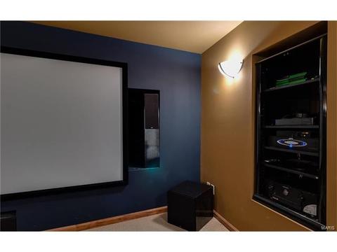314 Walnut Forest Dr, O'fallon, MO 63366 photo 39