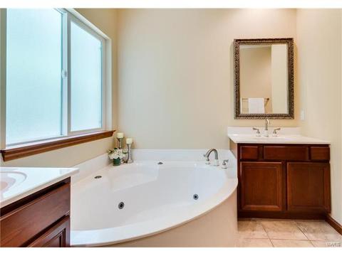 314 Walnut Forest Dr, O'fallon, MO 63366 photo 18