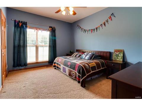 314 Walnut Forest Dr, O'fallon, MO 63366 photo 21