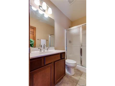 314 Walnut Forest Dr, O'fallon, MO 63366 photo 43