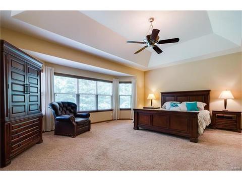 314 Walnut Forest Dr, O'fallon, MO 63366 photo 15