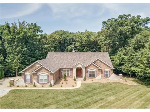 314 Walnut Forest Dr, O'fallon, MO 63366 photo 50