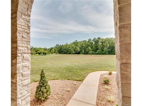 314 Walnut Forest Dr, O'fallon, MO 63366 photo 53