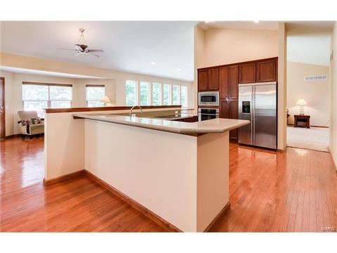 314 Walnut Forest Dr, O'fallon, MO 63366 photo 6