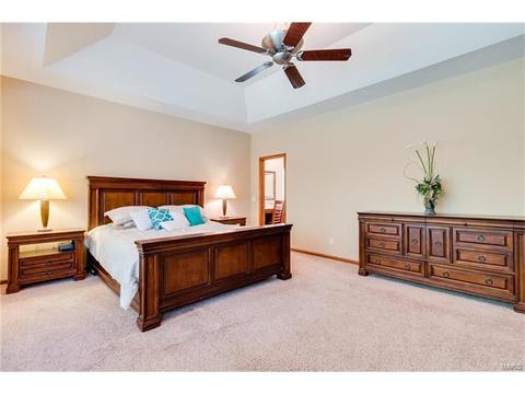 314 Walnut Forest Dr, O'fallon, MO 63366 photo 16
