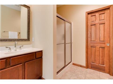 314 Walnut Forest Dr, O'fallon, MO 63366 photo 19