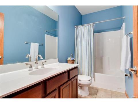 314 Walnut Forest Dr, O'fallon, MO 63366 photo 23