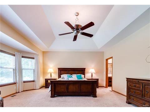 314 Walnut Forest Dr, O'fallon, MO 63366 photo 14