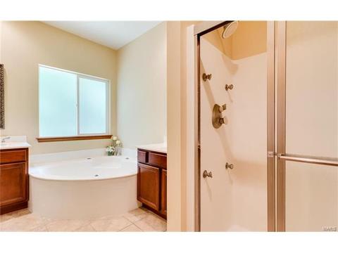 314 Walnut Forest Dr, O'fallon, MO 63366 photo 20