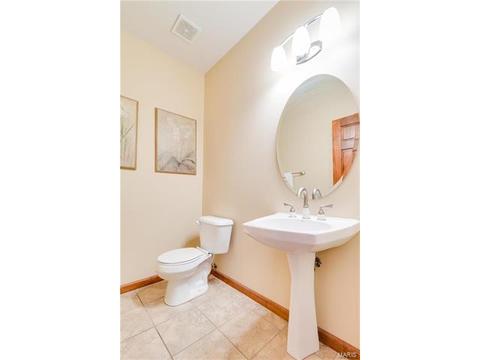 314 Walnut Forest Dr, O'fallon, MO 63366 photo 31