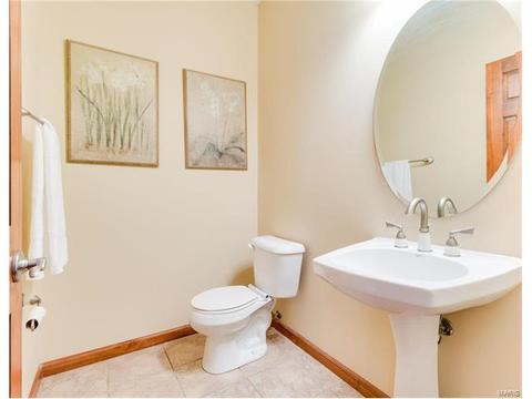 314 Walnut Forest Dr, O'fallon, MO 63366 photo 30