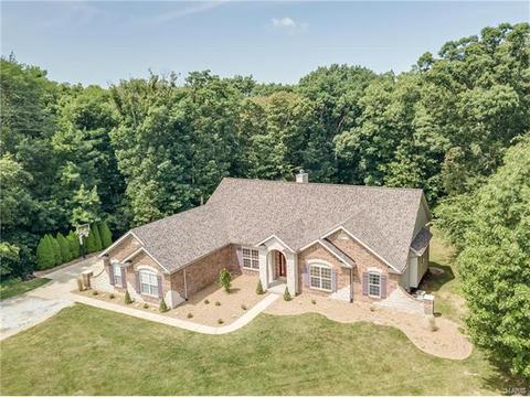 314 Walnut Forest Dr, O'fallon, MO 63366 photo 1
