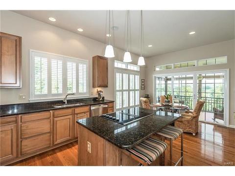 1577 Dietrich Place Ct, Ballwin, MO 63021 photo 15