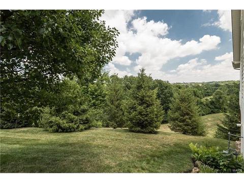 1577 Dietrich Place Ct, Ballwin, MO 63021 photo 28