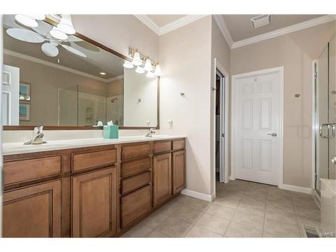 1577 Dietrich Place Ct, Ballwin, MO 63021 photo 19