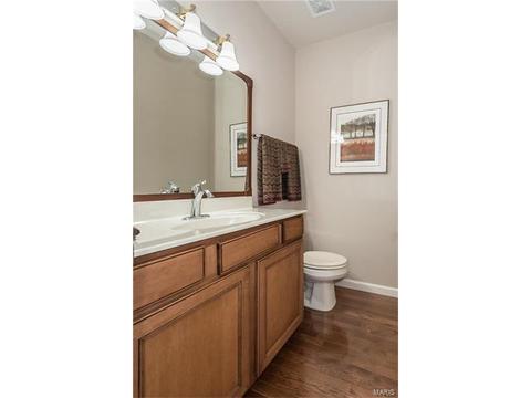 1577 Dietrich Place Ct, Ballwin, MO 63021 photo 16