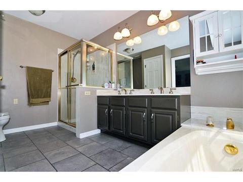 217 Timber Tree Ct, Wildwood, MO 63011 photo 24