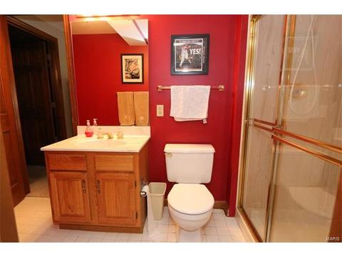 217 Timber Tree Ct, Wildwood, MO 63011 photo 43
