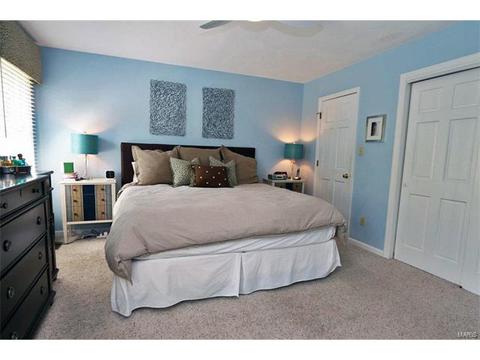 217 Timber Tree Ct, Wildwood, MO 63011 photo 22