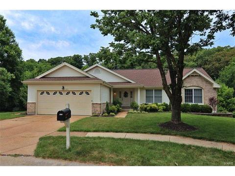 217 Timber Tree Ct, Wildwood, MO 63011 photo 54