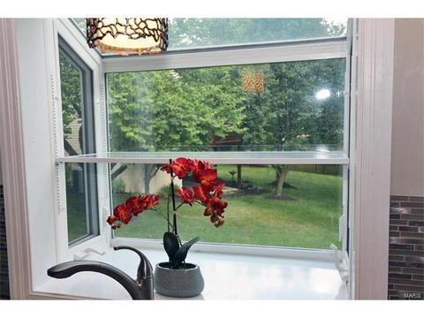 217 Timber Tree Ct, Wildwood, MO 63011 photo 13
