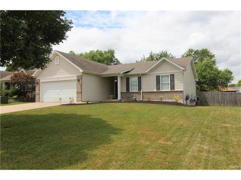 359 Centerfield Dr, O'fallon, MO 63366 photo 20