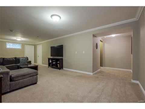 359 Centerfield Dr, O'fallon, MO 63366 photo 17