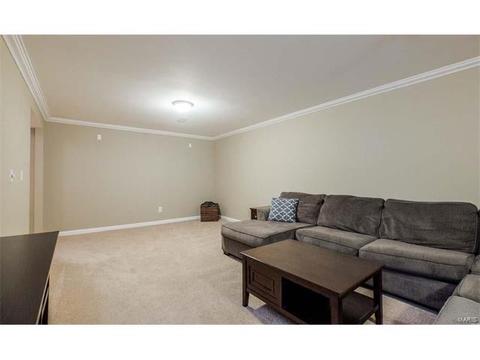 359 Centerfield Dr, O'fallon, MO 63366 photo 18
