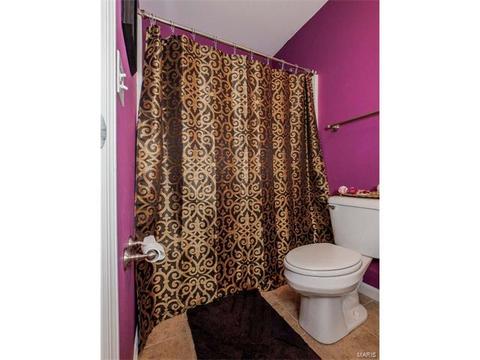 359 Centerfield Dr, O'fallon, MO 63366 photo 10
