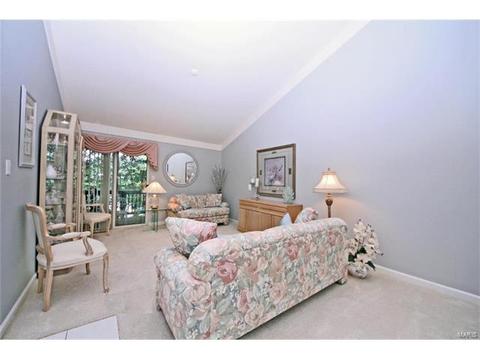164 Cascade Circle Dr, Ballwin, MO 63021 photo 4