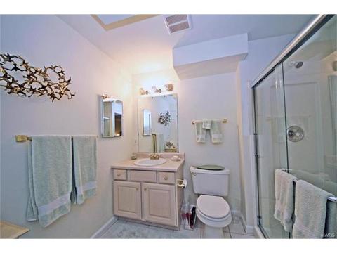164 Cascade Circle Dr, Ballwin, MO 63021 photo 11